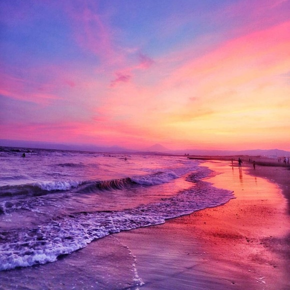 Meet your Posher, Grace - Picture 1 of 1